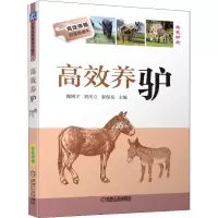 音像高效养驴魏刚才