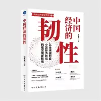 音像中国经济的韧沈建光