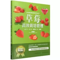 音像草莓高效栽培管理武冲,冉昆,姜莉莉,等
