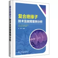音像复合绝缘子技术及故障案例分析卢明
