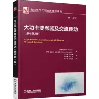 音像大功率变频器及交流传动(原书第2版)