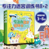 音像专注力迷宫训练书8+2(全10册)(俄)因娜·阿尼格耶娃等