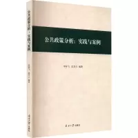 音像公共政策分析:实践与案例李祥飞