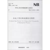 音像水电工程层析成像技术规程 NB/T 35112-2018能源局