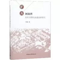 音像扩大河南省农村消费的流通创新研究丁超勋著