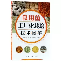 音像食用菌工厂化栽培技术图解孟庆国