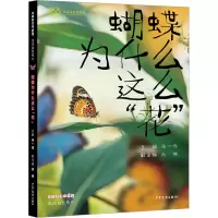 音像蝴蝶为什么这么