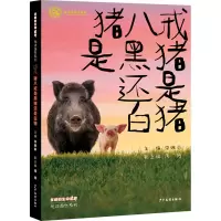 音像猪八戒是黑猪还是白猪主编:宋婉莉副主编:周明
