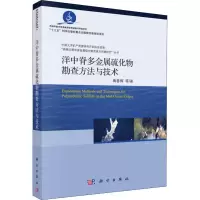音像洋中脊多金属硫化物勘查方与技陶春辉 等