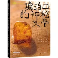 音像琥珀中的神秘头骨主编:刘哲副主编:殷欣琪