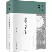 音像中国当代文学史 精装版洪子诚