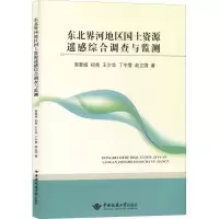 音像东北界河地区国土资源遥感综合调查与监测郭奎城 等