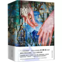 音像魔山(全2册)(德)托马斯·曼