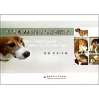 音像犬疑难病的诊疗与针灸图谱陆钢