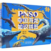 音像PNSO中国海龙知识拼图杨杨