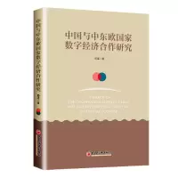 音像中国与中东欧数字经济合作研究邱强