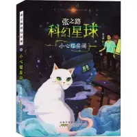 音像小心猫房间张之路