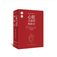 音像心脏大血管外科学董念国胡盛寿杨辰垣