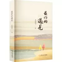 音像的遇见王会宁