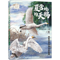 音像夏营地的天鹅格日勒其木格·黑鹤
