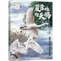 音像夏营地的天鹅格日勒其木格·黑鹤