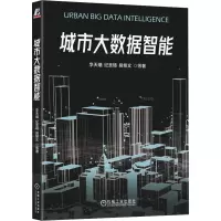 音像城市大数据智能李天瑞 等
