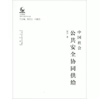 音像中国社会公共安全协同供给钱洁