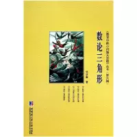 音像数论三角形/数学中的小问题大定理丛书邹叔鑫