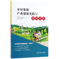 音像乡村旅游产业创新实践与案例分析马亮