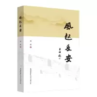音像风起长安周媛