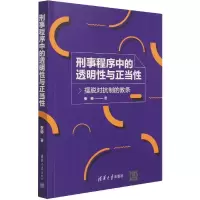音像刑事程序中的透明与正当(摆脱对抗制的教条)张帅著