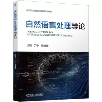 音像自然语言处理导论沈颖 丁宁 等