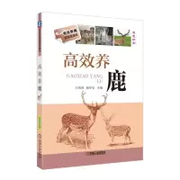 音像高效养鹿王凯英 杨学宏