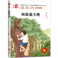 音像拯救/智多星管小正青少年系列法治安全小说解淑平