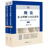 音像刑法条文理解与司法适用(上下)刘静坤