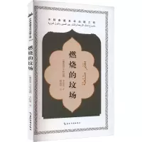 音像燃烧的坟场(摩洛哥)艾哈迈德·卡比里