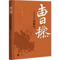 音像曹操 冲出危局的清醒者韩昇