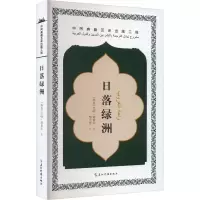 音像日落绿洲(埃及)巴哈·塔希尔