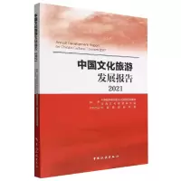 音像中国文化旅游发展报告2021中国旅游研究院文化旅游研究基地