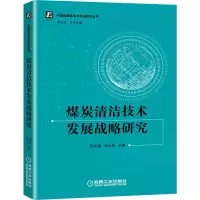 音像煤炭清洁技术发展战略研究/中国能源与技术丛书不详