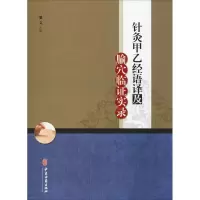 音像针灸甲乙经语译及腧穴临实录潘文