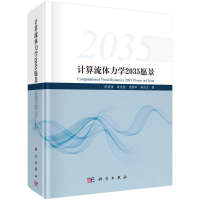 音像计算流体力学2035愿景陈坚强 等