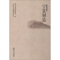 音像宁夏制造银川市新闻传媒集团