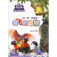 音像织一间