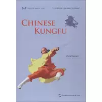 音像中国功夫王广西