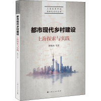 音像都市现代乡村建设 上海探索与实践薛艳杰 等