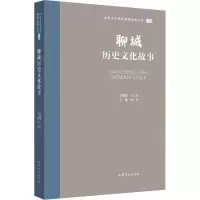 音像聊城历史文化故事王志民