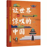 音像让世界惊叹的中国聂辉 著绘