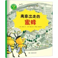 音像离家出走的蜜蜂(韩)洪起允