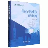 音像钻石型城市配电网阮前途